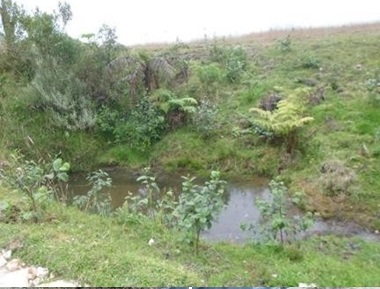 NACIMIENTO AGUA 1